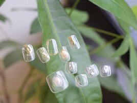 8月select(Q)6,980円◆全10種