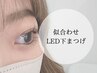 ★8月限定★ 【LEDエクステ(下)】 似合わせデザイン下まつげ　(新)￥3850⇒