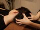 リラクゼーションサロン ノナマニス 北浦和本店(NONAMANIS)の写真/眼精疲労・肩こり・首こりに◎ほぐし整体×ドライヘッドスパのセットで心も体もリフレッシュ♪爆睡必至！