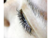 ルレーヴミリ(Le reve milli)/【フラットセーブル100本】