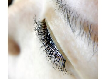 ルレーヴミリ(Le reve milli)/【フラットセーブル100本】