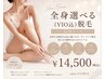 全身選べる脱毛(VIO含む)45分コース