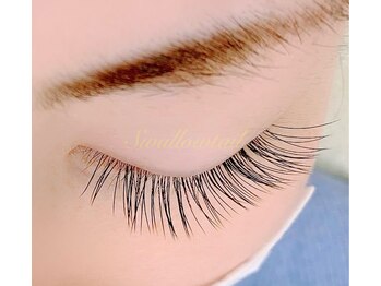 スワロウテイル(Swallowtail)/まつげエクステ　付け放題