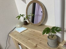 エムスタイル(M-STYLE)/新しい観葉植物メンバー達