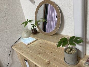 エムスタイル(M-STYLE)/新しい観葉植物メンバー達