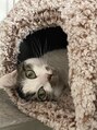フィズ 五日市彩が丘店(FIS)&nbsp;猫ちゃんloveです♪