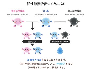 雅 平塚(みやび)/水素の役割