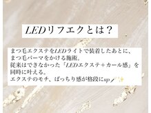 アリィ(Ali'i)/LEDリフエクとは？