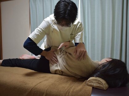 がじゅまるの写真