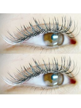 エール(Ailes)/カラー 20本+フラット180本