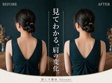 ハルミ 新宿店(Harumi)の雰囲気（肩こり/首こり/肩首こり/肩甲骨はがし/自律神経/新宿肩こり整体）