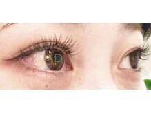 abp /オールブラウンカラー