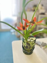 マシュマロハンド/よもぎ蒸し/冷え/むくみ改善