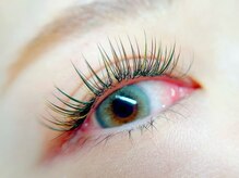 リブレ(Libre)/ダブルフラット140束(280本)