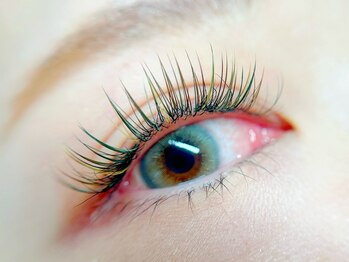 リブレ(Libre)/ダブルフラット140束(280本)