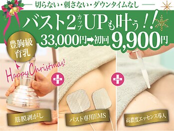 美人バスト 岡崎店