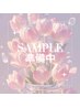 【組み合わせは5,000通り以上☆】オーロラ/ミラー¥8,100