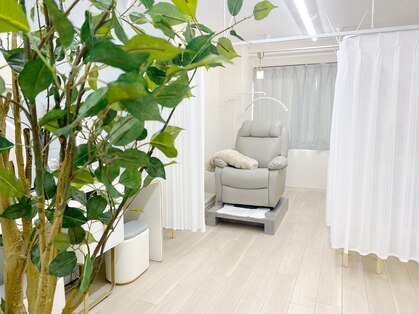 トムテ(tomte)の写真