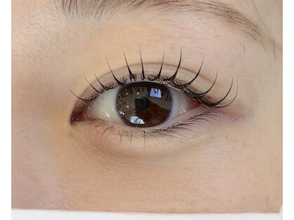 クプアプラス(Kupu'a plus)の写真