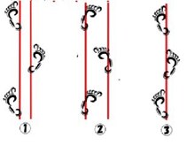 スタジオ ベガ(Studio vega)/痩せる歩行。正しい歩行は？