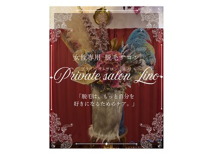 リノ(Lino)の写真