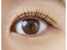 テイラー(Taylor)/ラッシュリフト（カール）SONE