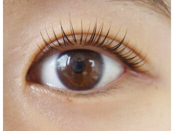 テイラー(Taylor)/ラッシュリフト(カール)SONE