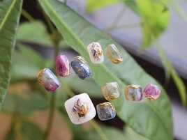 8月select(K)7,980円◆全10種