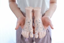 レヴィタ(ReVita)