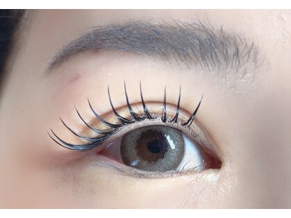 ラスター(Luster)の写真