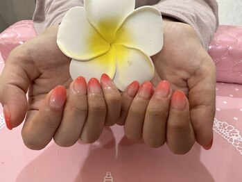 アリエル(Ariel)/ カラーグラデーション