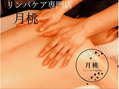 月桃の写真