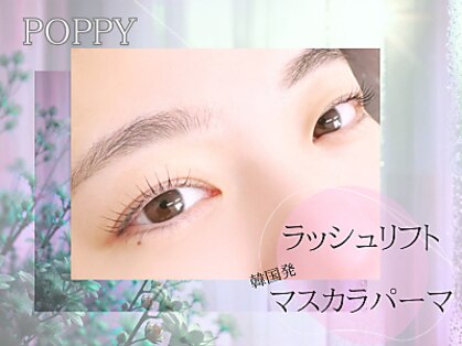 ポピー(POPPY)の写真