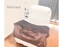 カトレア(Cattleya)の雰囲気（リクライニングチェアでゆっくりおくつろぎ頂きながら施術♪）