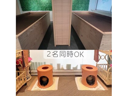 ココロ(COCORO)の写真