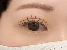 ルピナス 川口(Lupinus)/フラットラッシュ140本