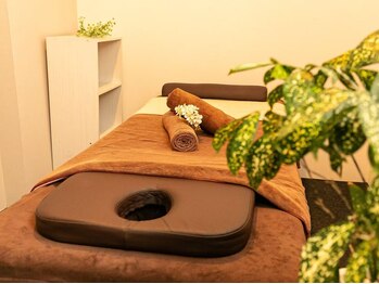 チェリー(Cherry)/