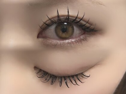 マカロン(macaron)の写真