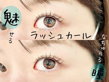 ベリーラッシュ 柏西口店(VeryLash)/ラッシュカール　♪