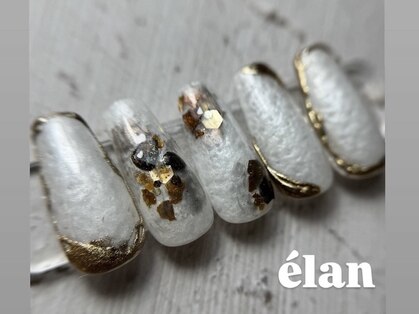 エラン(elan)の写真