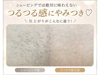 サクラ(SAKURA)の写真