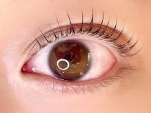 ローズラッシュ(Rose Lash)/まつげパーマ
