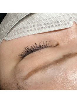 フォンテ(Fonte)/フラットラッシュ 80本