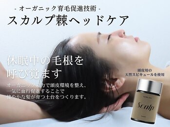 ボニータアンジュ 恵比寿(Bonita Ange)/【育毛促進】スカルプヘッドスパ