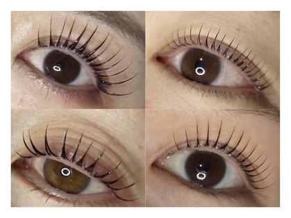 エーラッシュ(A-Lash)の写真