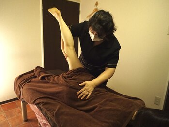 桜咲の匠/Revi-CellBodyリヴィセルボディ