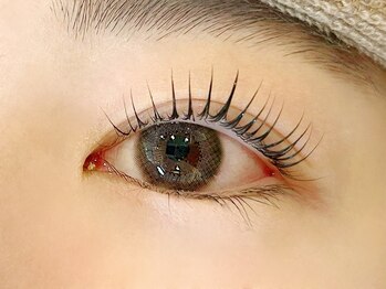 デイジーラッシュ 神戸三宮店(Daisy Lash)/まつげパーマ/パリジェンヌ/神戸