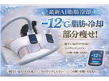 プラージュスパ(Plage Spa)の雰囲気（何しても落ちない脂肪を徹底冷却サイズダウン）