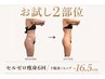 【お試し2部位】この脂肪を落としたい☆今まで落ちなかった脂肪集中施術90分