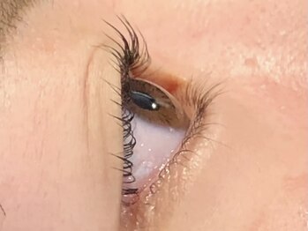 ピクシーボブ(Pixie Bob)/★マツパ 直角スタイル